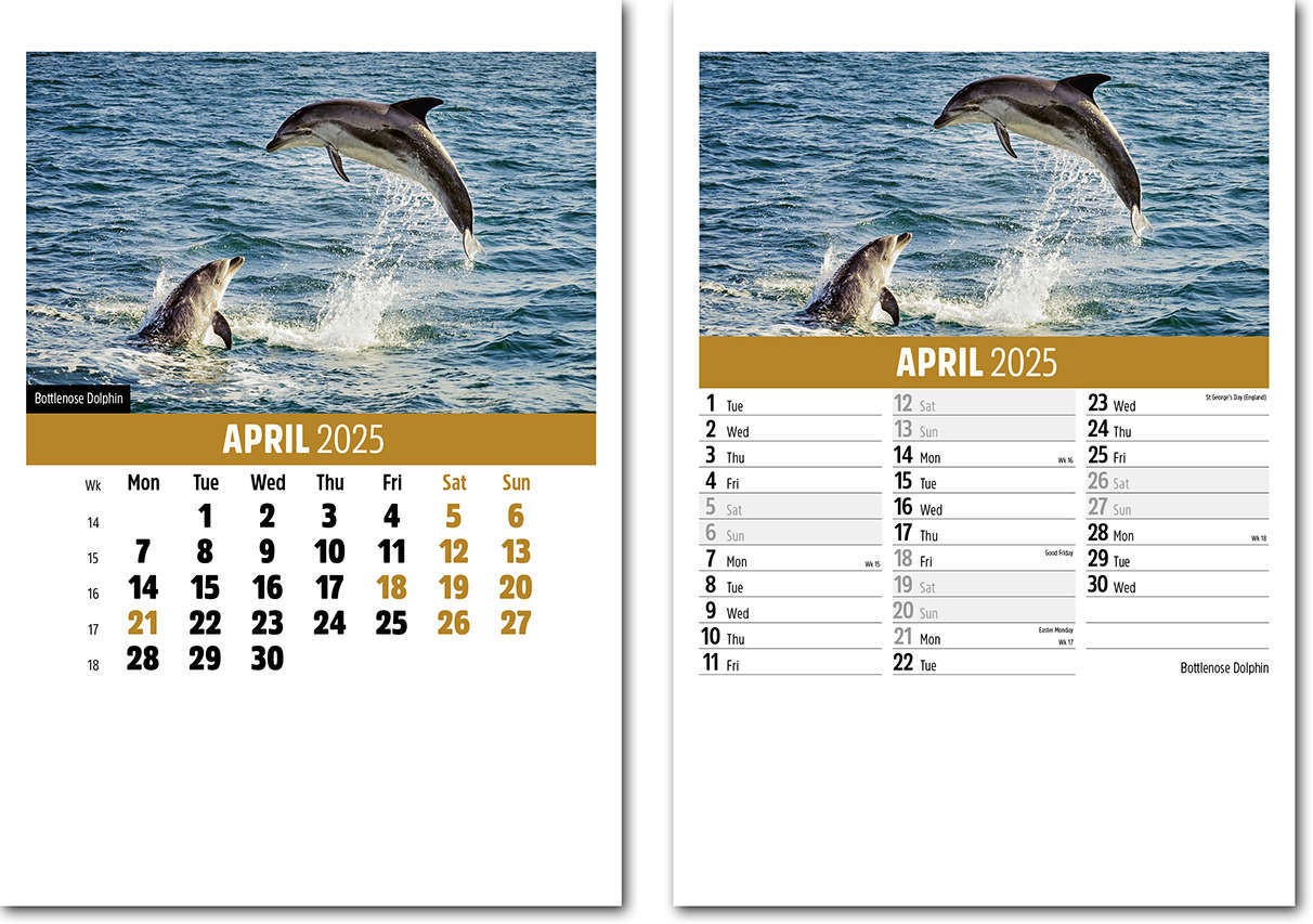 Wildlife Mini Desk Calendar