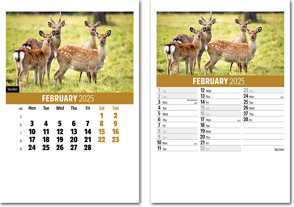 Wildlife Mini Desk Calendar