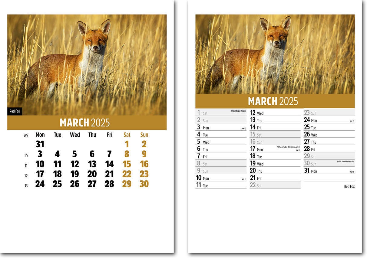 Wildlife Mini Desk Calendar