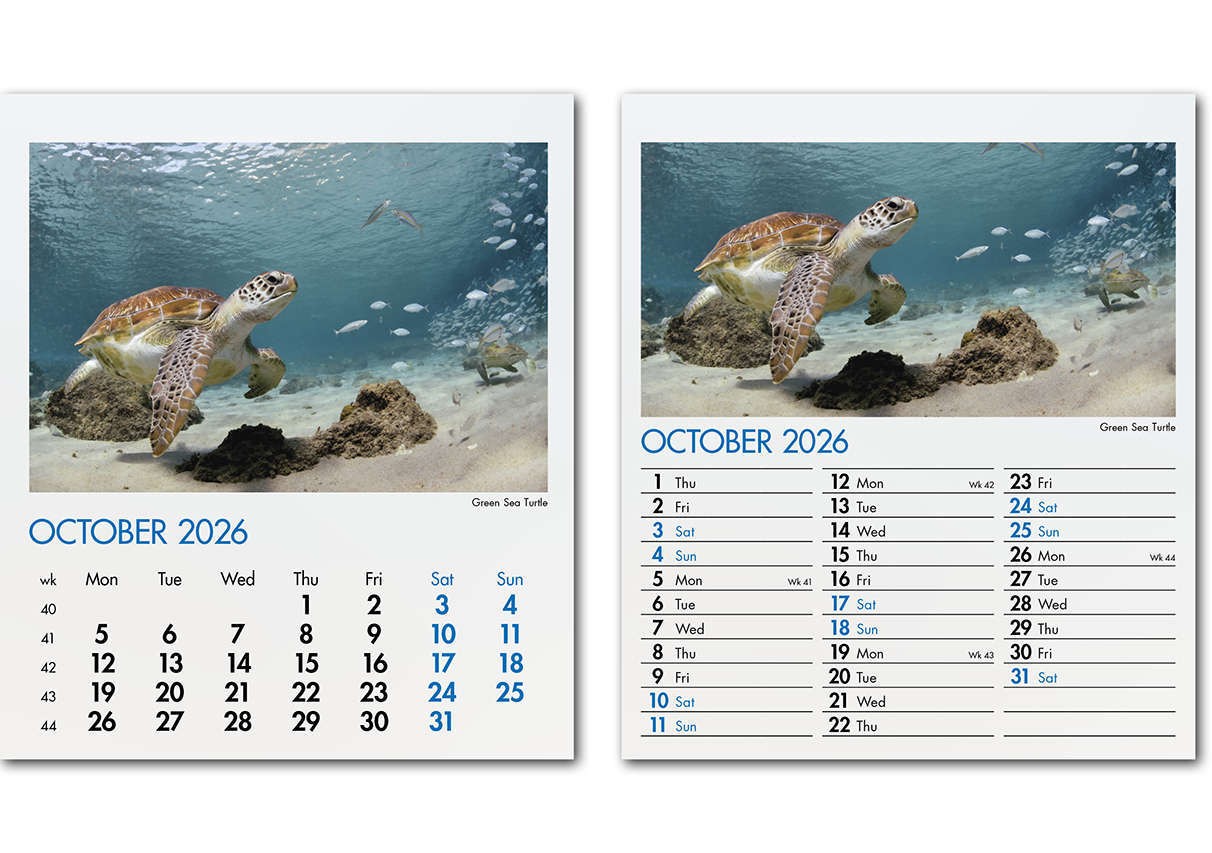 Blue Planet Mini Desk Calendar