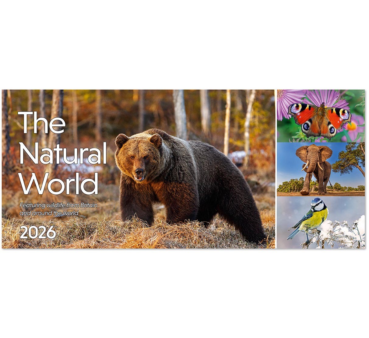 The Natural World Desk Calendar