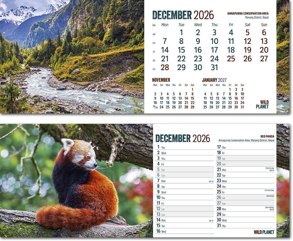 Wild Planet Note Station Desk Calendar 