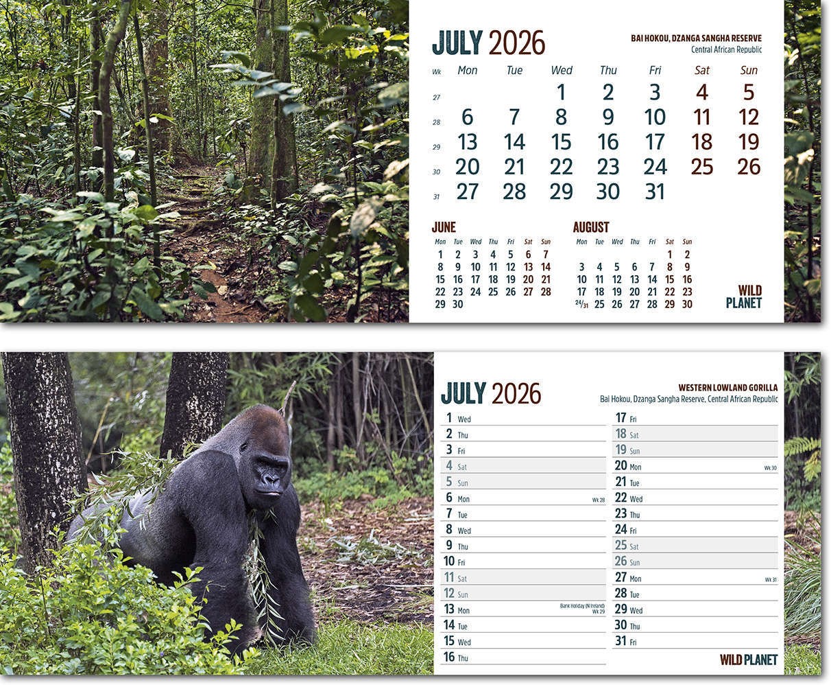 Wild Planet Note Station Desk Calendar 