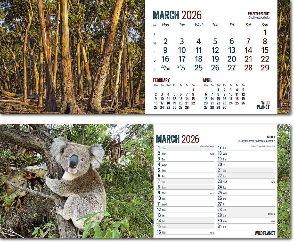 Wild Planet Note Station Desk Calendar 