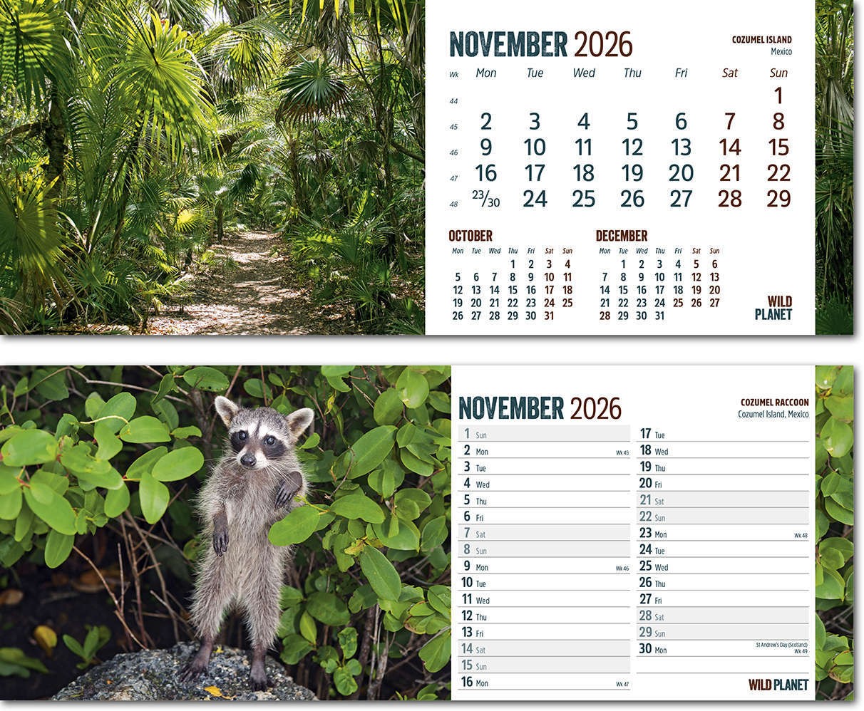 Wild Planet Note Station Desk Calendar 