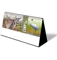 Wild Planet Premium Lined Easel Desk Calendar