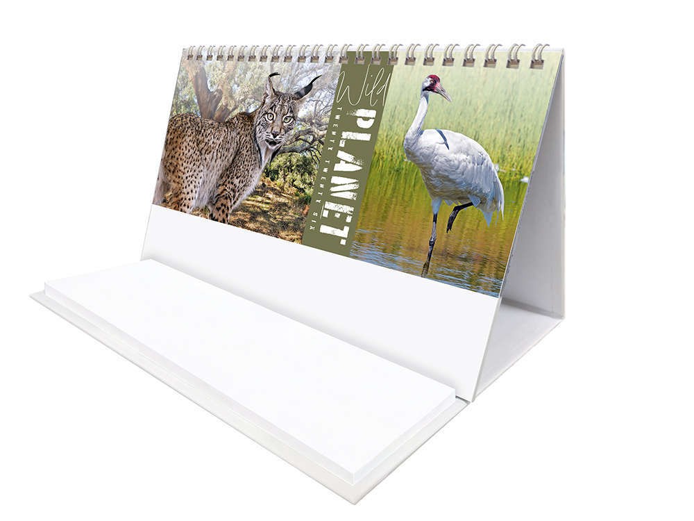 Wild Planet Task Station Desk Calendar