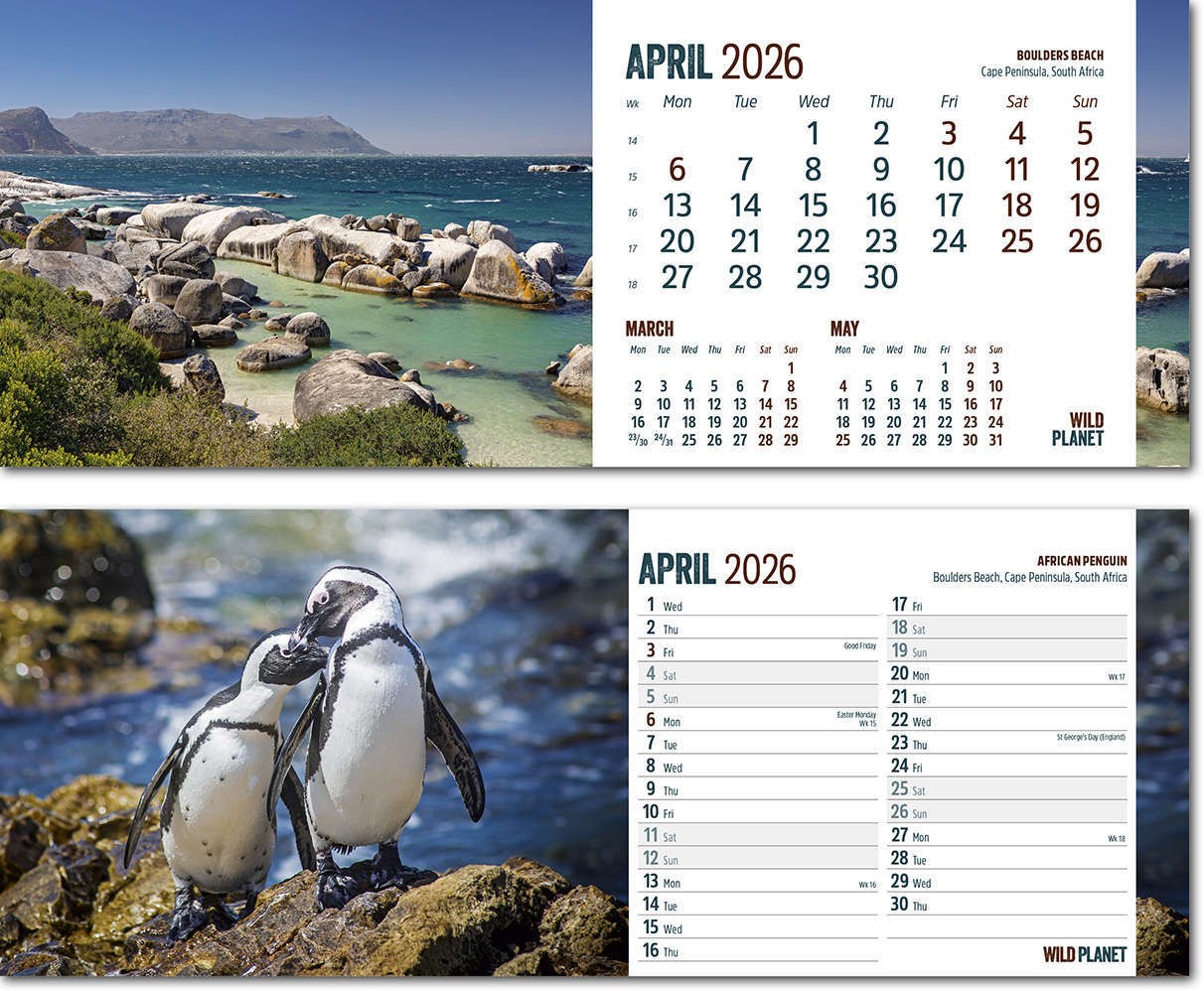 Wild Planet Task Station Desk Calendar