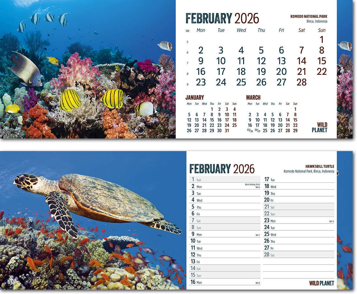 Wild Planet Task Station Desk Calendar