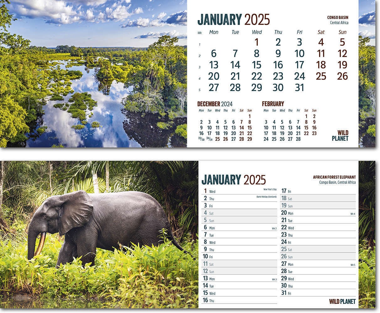 Wild Planet Task Station Desk Calendar