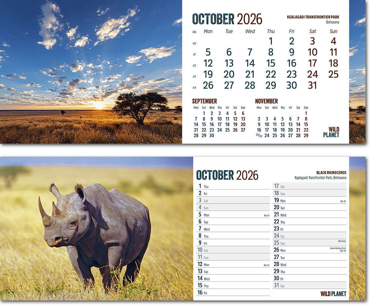 Wild Planet Task Station Desk Calendar