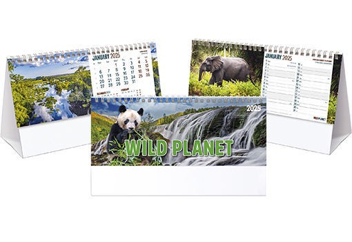 Wild Planet Desk Calendar