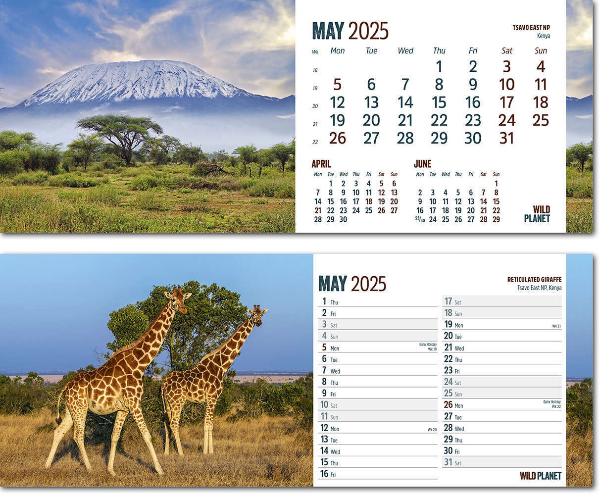 Wild Planet Desk Calendar