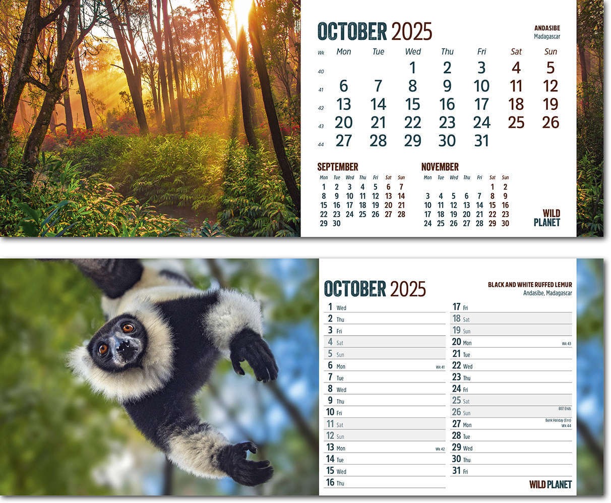 Wild Planet Desk Calendar