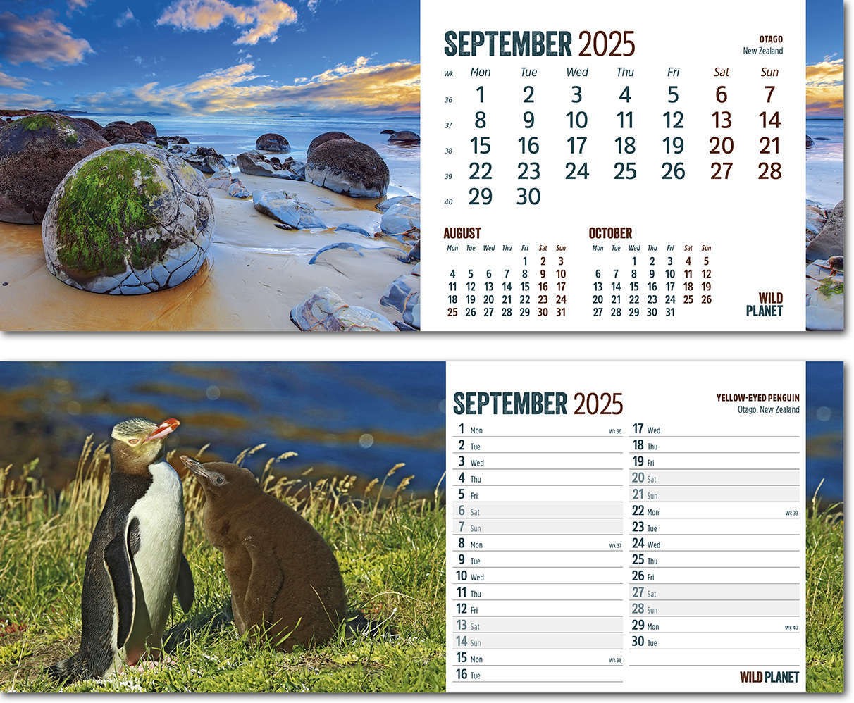 Wild Planet Desk Calendar