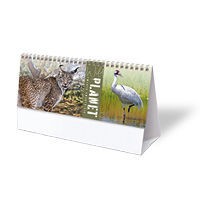 Wild Planet Desk Calendar