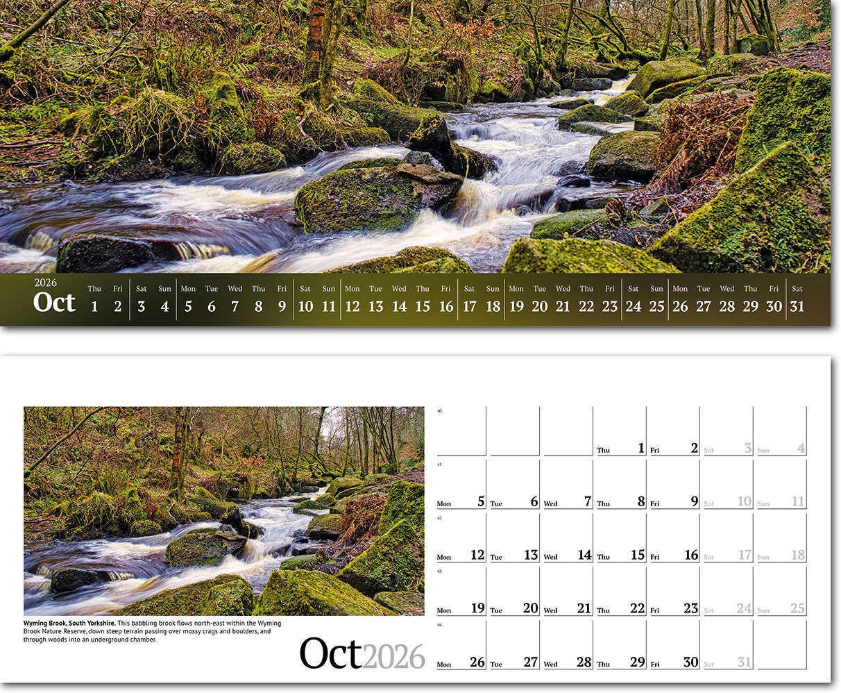 Wild Britain Desk Calendar