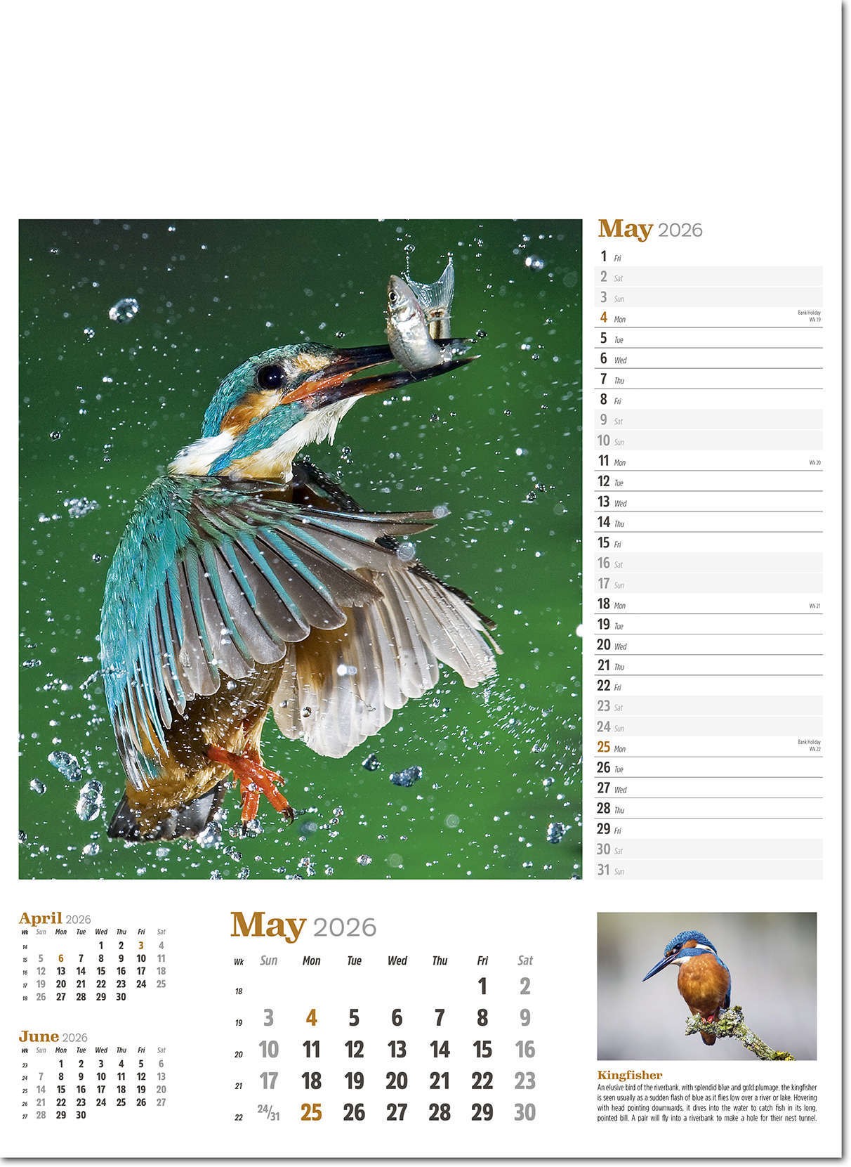 Wildlife in Britain Wall Calendar