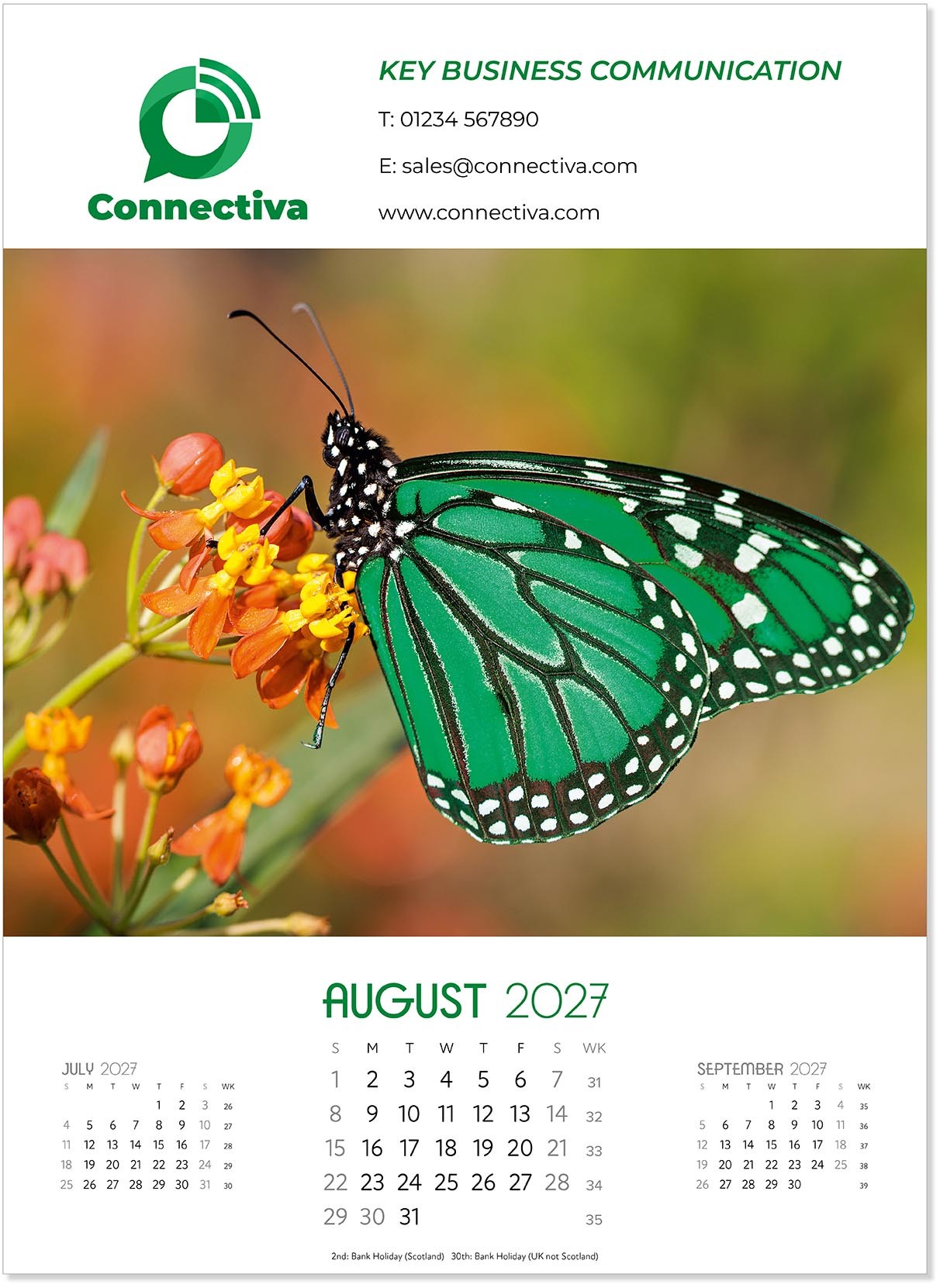 A Touch of Colour Wall Calendar