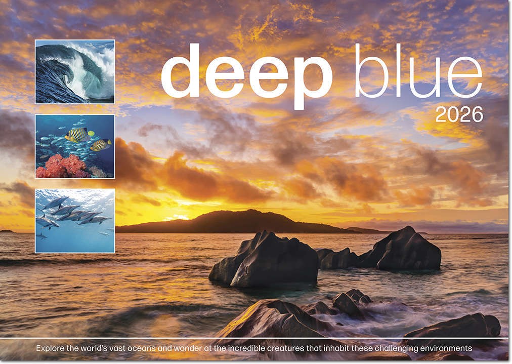 Deep Blue Wall Calendar