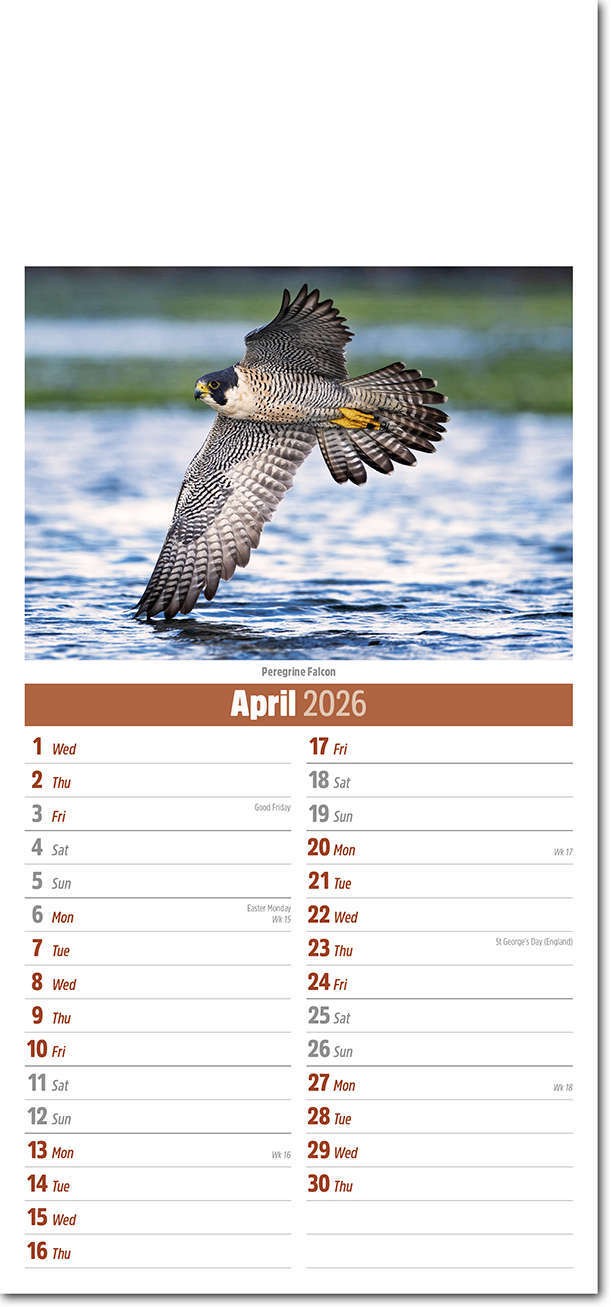 Slimline British Wildlife Compact Calendar