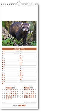 Slimline British Wildlife Calendar