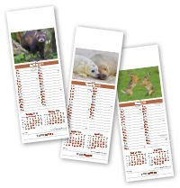 Slimline British Wildlife Calendar